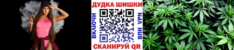 Наркота Новоаннинский Псилоцибиновые грибы  Меф  Cocaine  Гашиш  Конопля 