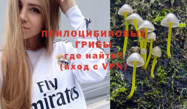 прущая мука Армянск
