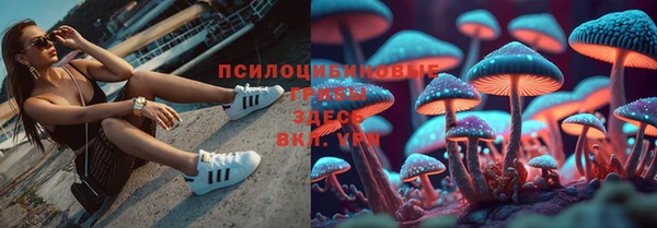 ALPHA PVP Аркадак