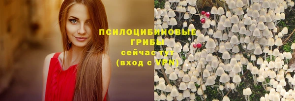 мескалин Арсеньев